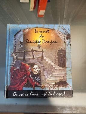 📚 4/$20 📚 Le Secret du Sinistre Donjon Illustrated Book - Blue Cover